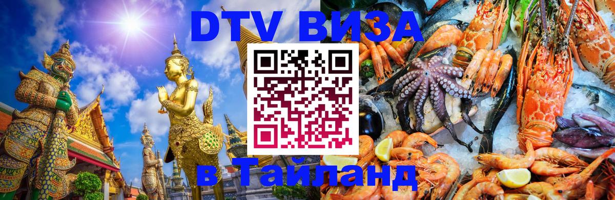 Оформление DTV визы под ключ: стоимость и тарифы, только загранпаспорт - Тхимпху 